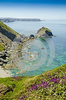 Basset Cove, Cornwall England