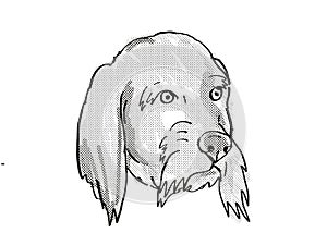 Basset Fauve de Bretagne Dog Breed Cartoon Retro Drawing photo