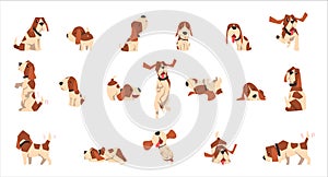 Basset Hound dog big set. Cute funny pet animal in various poses cartoon vector Illustration