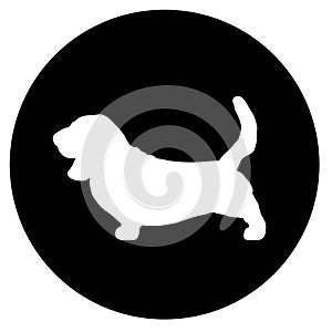 Basset hound dog in black round isolated