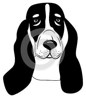 Basset Hound Dog Breed Love Peeking Pet Puppy Design Element tattoo vector Isolated Head Face