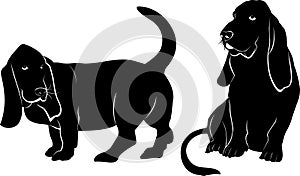 Basset hound dog vector silhouette