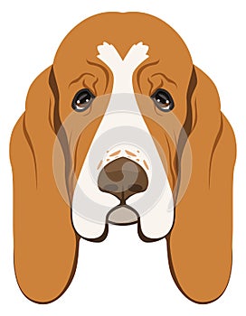Basset hound face icon. Funny cartoon dog