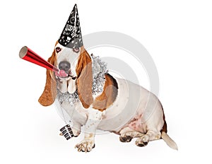 Basset Hound New Years Party Dog