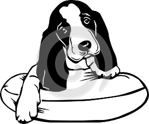 Basset Hound Puppy Illustration