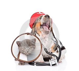 Basset hound puppy with stethoscope on his neck and kitten wearing a funnel collar. isolated on white background