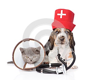 Basset hound puppy with stethoscope on his neck and kitten . on white