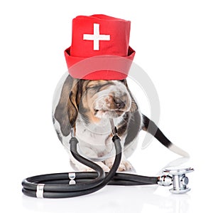 Basset hound puppy wearing nurses medical hat and stethoscope on his neck. isolated on white background