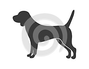 Basset hound silhouette. Dog silueta shadow puppy, vector icon