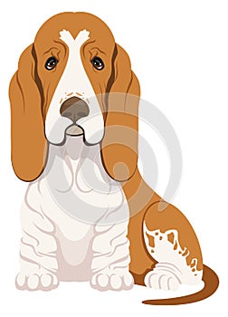 Basset hound sitting. Funny dog breed icon