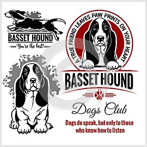 Basset Hound - vector set for t-shirt, logo and template badges