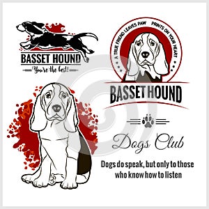 Basset Hound - vector set for t-shirt, logo and template badges