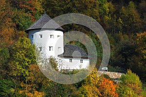 Bast in village Stiavnice Bane, Slovakia