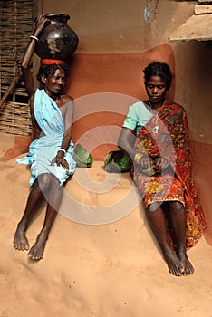 Bastar: The Lost Heritage