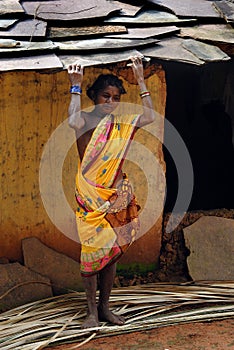 Bastar: The Lost Heritage