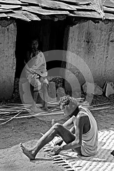 Bastar: The Lost Heritage