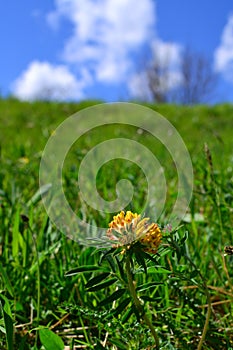 Parco Regionale Naturale dell`Antola-Italian nature photo