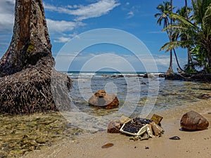 Old typewriter stranded on the beach