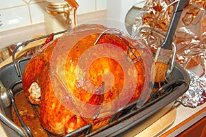 Basting Turkey 4