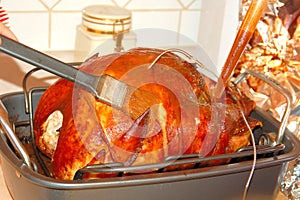 Basting Turkey
