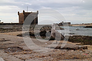 Bastion Borj El Barmil with seagull in port of Essouira
