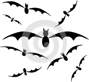 Bat