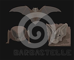 Bat Barbastelle Cartoon Illustration