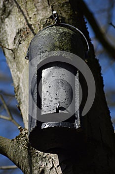 Bat box hanging on a tree in the forest