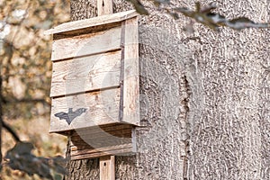 Bat box hangs from a tree in the forest and provides shelter for bats