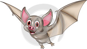 Bat cartoon flying, isolated on white background