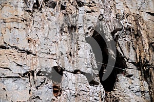 Bat cave entrance on cliff of rock mountain