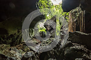 Bat cave, a limestone cave near Bukit Lawang in Gunung Leuser National Park, Sumatra, Indonesia.