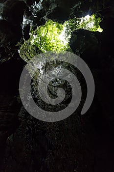 Bat cave, a limestone cave near Bukit Lawang in Gunung Leuser National Park, Sumatra, Indonesia.