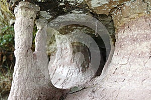 Bat cave stone with columnar formations and holes