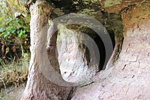 Bat cave stone with columnar formations and holes