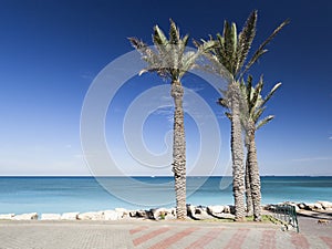 Bat Galim promenade. Galshanim beach. Haifa. Israel. of Bat Gali