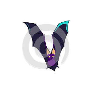 Bat is a nocturnal animal. A symbol of Halloween. The bat in flight