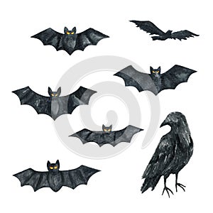 Bat, Raven. Halloween Party Illustration. Watercolor drawing