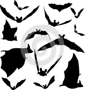 Bat Silhouettes