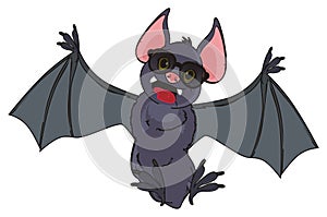 Bat in sunglasses
