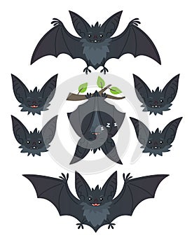 Bat in various poses. Flying, hanging. Grey bat-eared snouts with different emotions. Illustration of modern flat animal