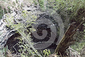 The Bat Volcano of Calakmul