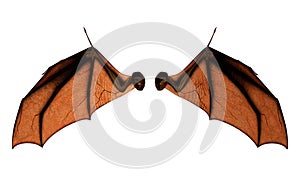 Bat Wings, Costume Wings with Clipping Path.