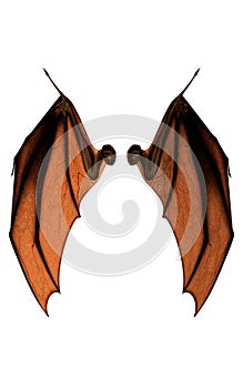 Bat Wings, Costume Wings with Clipping Path.