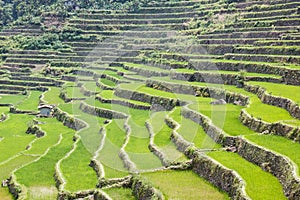 Batad rice field terraces in Ifugao province, Banaue, Philippines