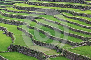 Batad rice field terraces in Ifugao province, Banaue, Philippines