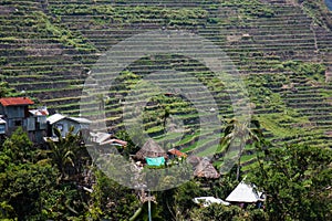 Batad rice field terraces, Ifugao province, Banaue, Philippines