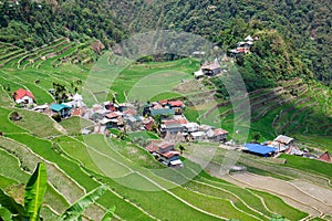 Batad rice field terraces, Ifugao province, Banaue, Philippines