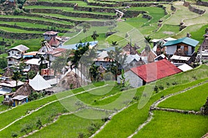 Batad rice field terraces,Ifugao province, Banaue, Philippines