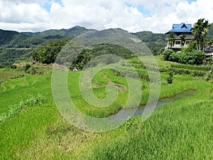 Batad rice terrace in Banaue, Ifugao, Philippines